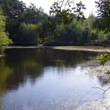 Domaine Des Quatre Vents, 南斯 — 照片 2