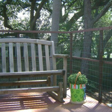 Island Lullaby, Tybee Island — photo 4