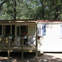 Mareda Mobile Homes, 达伊拉 — 照片 4