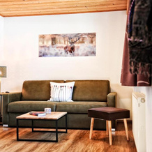 Luxury Chalets Wiesenruh, 比希尔巴赫 — 照片 4