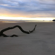 Waihi Beach Paradise Resort, Waihi Beach — photo 5