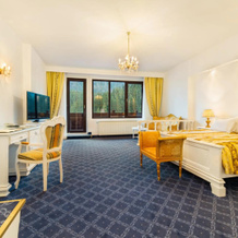 Hotel Aurelius Imparatul Romanilor, Пояна-Брашов — фото 5