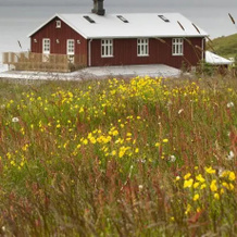 Skálanes Mountain Lodge, Eskifjordur — photo 4