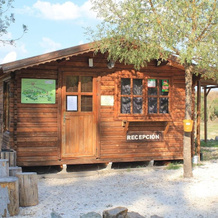 Camping La Fundición, 卡萨利亚德拉谢拉 — 照片 4