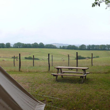 Alpagas du Quercy, Frayssinet — photo 4
