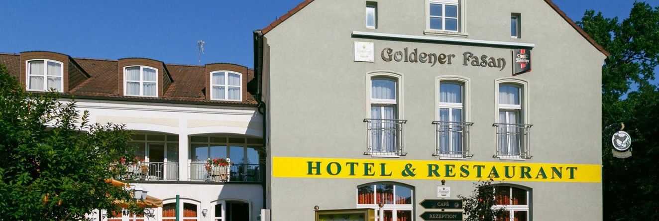 Hotel Goldener Fasan, 奥拉宁鲍姆-沃利茨 — 照片 1