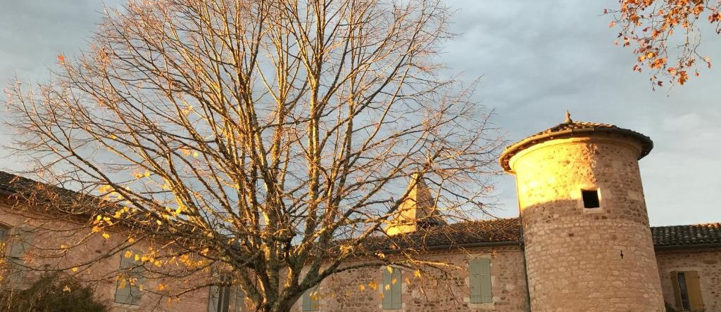 Domaine de La Durantie Appt 1 Vieux Château, Castelnau-de-Montmiral — photo 1
