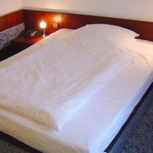 Hotel & Restaurant Raisch, Штайнвенден — фото 4