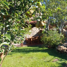 Casas Do Favacal - a Traditional Xisto House, 佩内拉 — 照片 2