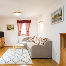 Domačija & Apartmaji Katrnjek, 博希尼镇 — 照片 2