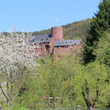 Ferienwohnung Burgsicht, Хаймбах — фото 3