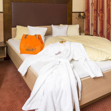 Flairhotel Am Wörthersee, Шифлинг-ам-Зее — фото 4