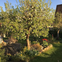 Erlebnis- und Genusshof Tietze, Spalt — photo 5