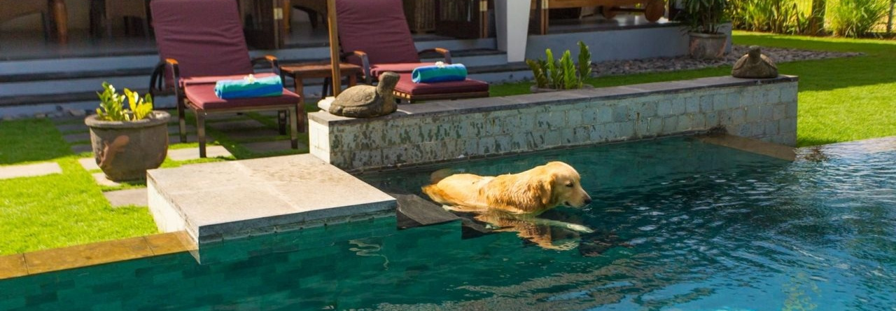 Villa Kaba Kaba Resort Bali, Сепака — фото 1