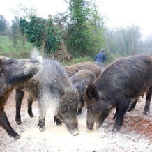 Agriturismo Il Muto di Gallura, Aggius — photo 3