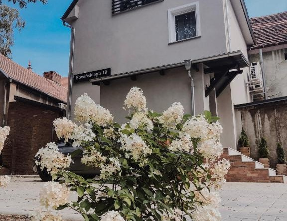 Apartamenty Centrum Park, 绿山城 — 照片 1