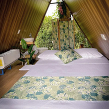 Tilawa La Fortuna Glamping, 埃尔坦克 — 照片 3