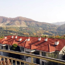 Gold Family Condo, Yongin — photo 4
