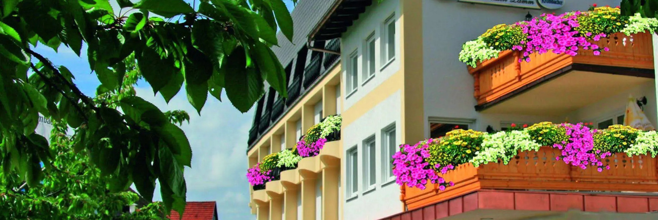 Hotel Zum Weissen Lamm, 奥伯森特 — 照片 1