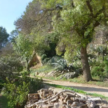 Gites de la Baume, 皮塞尔吉耶 — 照片 5