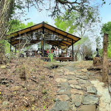 Elephant Safari Hotel - Udawalawa, Удавалаве — фото 4