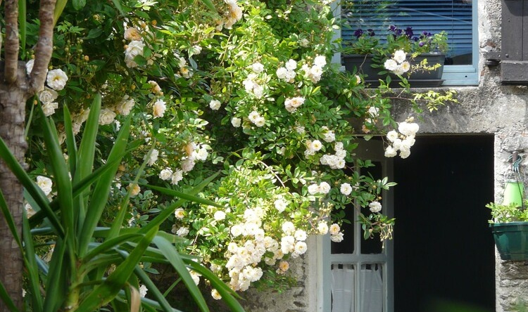 Chambres d'hôtes - Topaze, 莫尼耶 — 照片 1