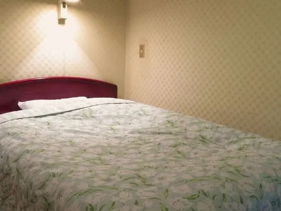 Business Hotel Saiki, Kurayoshi — photo 1