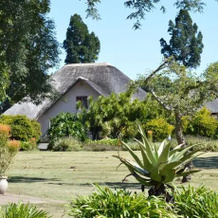 Aloe Guest Lodge, 埃绍韦 — 照片 2