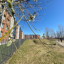 V Zhk Fortetsiya Apartments, Kronshtadt — photo 2