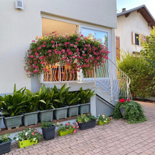 Appartement Le Jardin, 兰戈尔斯海姆 — 照片 2