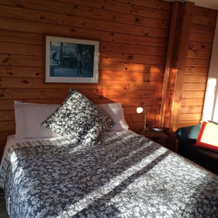 Fox Glacier Lodge, Фокс-Глейшер — фото 5