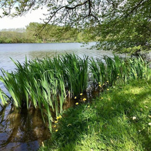 Camping Les Berges de la Dordogne, 特雷莫拉 — 照片 5
