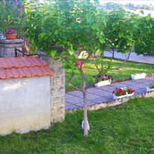 B&B Casa Losea, Marsciano — photo 5