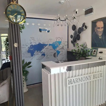 Harmony Blue Pansiyon, Burhaniye — photo 4