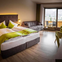Hotel Residence Johanneshof, 切尔梅斯 — 照片 2