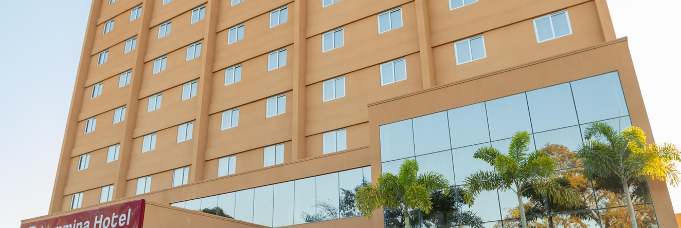 Lummina Hotel Mogi-Guaçu, 莫日米林 — 照片 1
