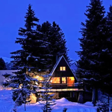 Chalet Cermis, Кавалезе — фото 5