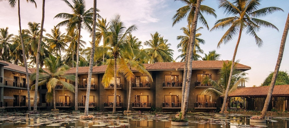 Sterling Dindi, 拉马拉朱兰卡 — 照片 1