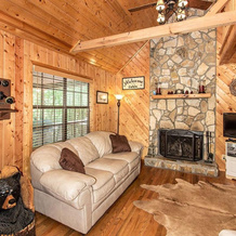 Bearadise Retreat Cabin, 埃利亚伊 — 照片 3