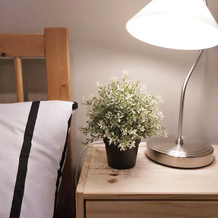 Jinjiang Guesthouse by Elevate Rooms, 高贵林 — 照片 5