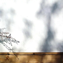 My Little Place on the Hill, 斯巴蒂亚 — 照片 5