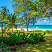 The Sands At Nomad, Diani Beach — photo 5