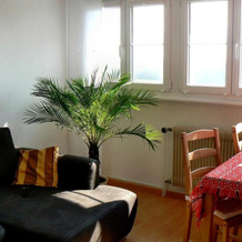 Ferienwohnung Gita, Ohningen — photo 2
