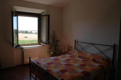 Agriturismo Pian dei Pini, 马利亚诺因托斯卡纳 — 照片 1
