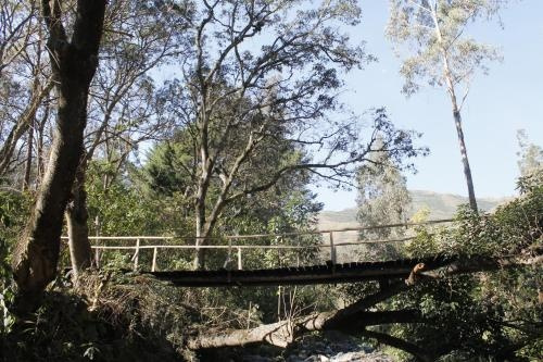 Altai Oasis Eco Lodge, 索拉塔 — 照片 1