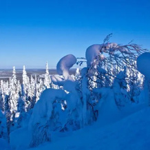 Star Cottages Ruka, Куусамо — фото 3