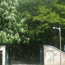 Pálmajor Pihenöpark és Rendezvényközpont, Gardony — photo 4