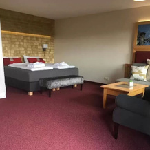 Jens Weissflog Appartementhotel, Oberwiesenthal — photo 4