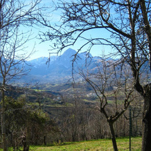 Agriturismo Bellavista, 卡斯泰尔卡斯塔尼亚 — 照片 2