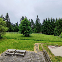 Thuringian Forest House, 艾斯费尔德 — 照片 4